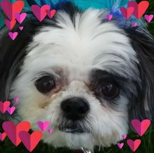 Meet your Posher, Laurie